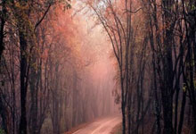 继1963／64赛季之后，米兰和尤文历史第二次赛季中途一同换帅.