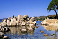 tk体育官网：[图]武磊梅开二度 上海海港主场大胜长春亚泰.